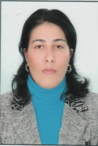 Profil
