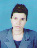 Profil