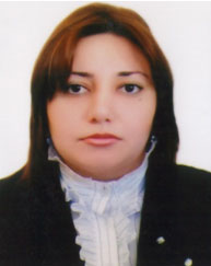 Profil