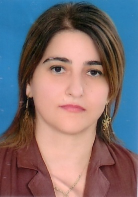 Profil
