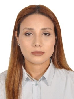 Profil